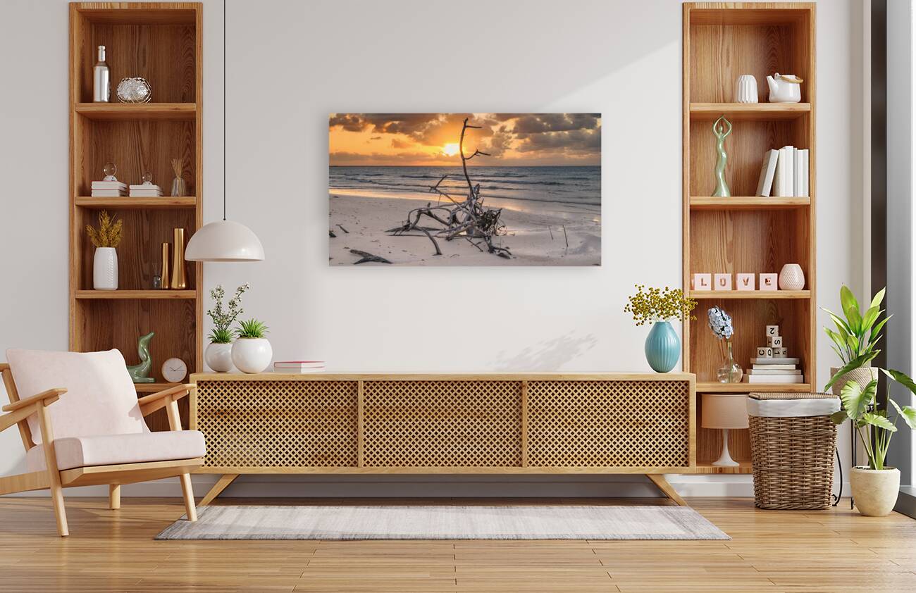 Caribbean driftwood sunset Reproduction