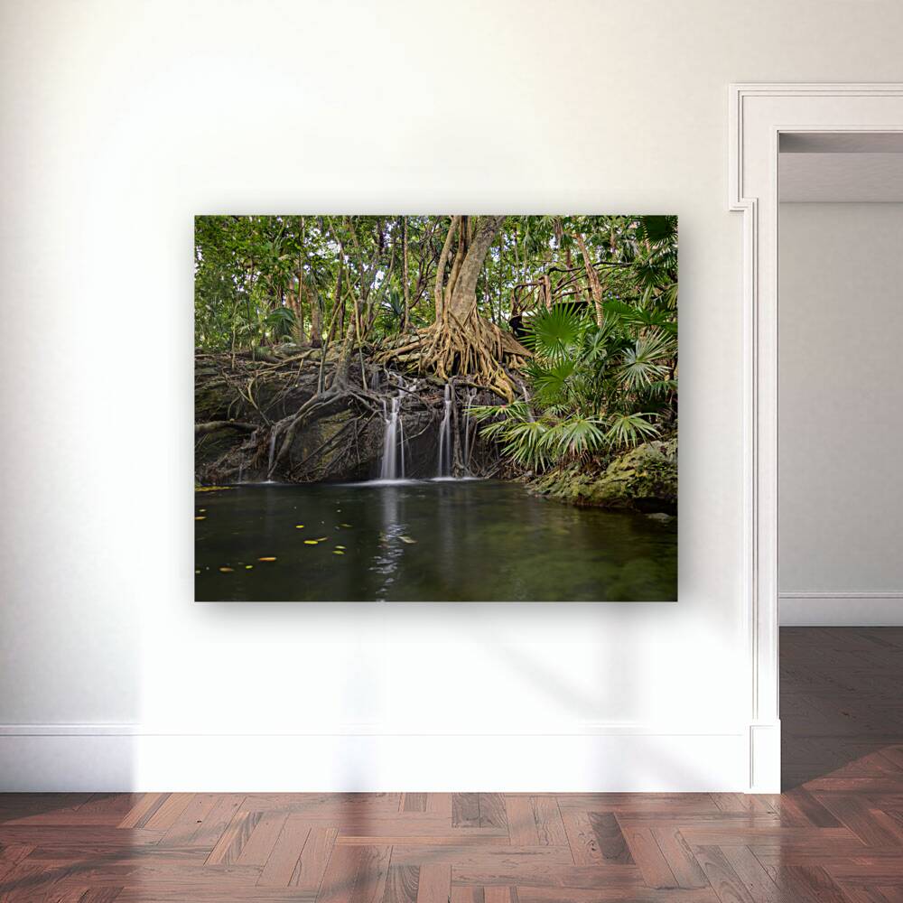 jungle tree waterfall 2 Reproduction