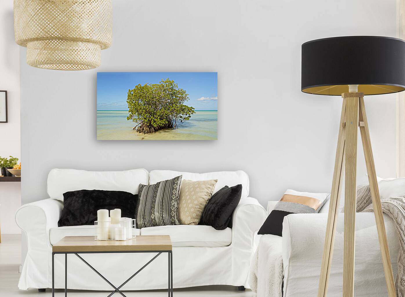 Mangrove on Cuban beach 2 Reproduction