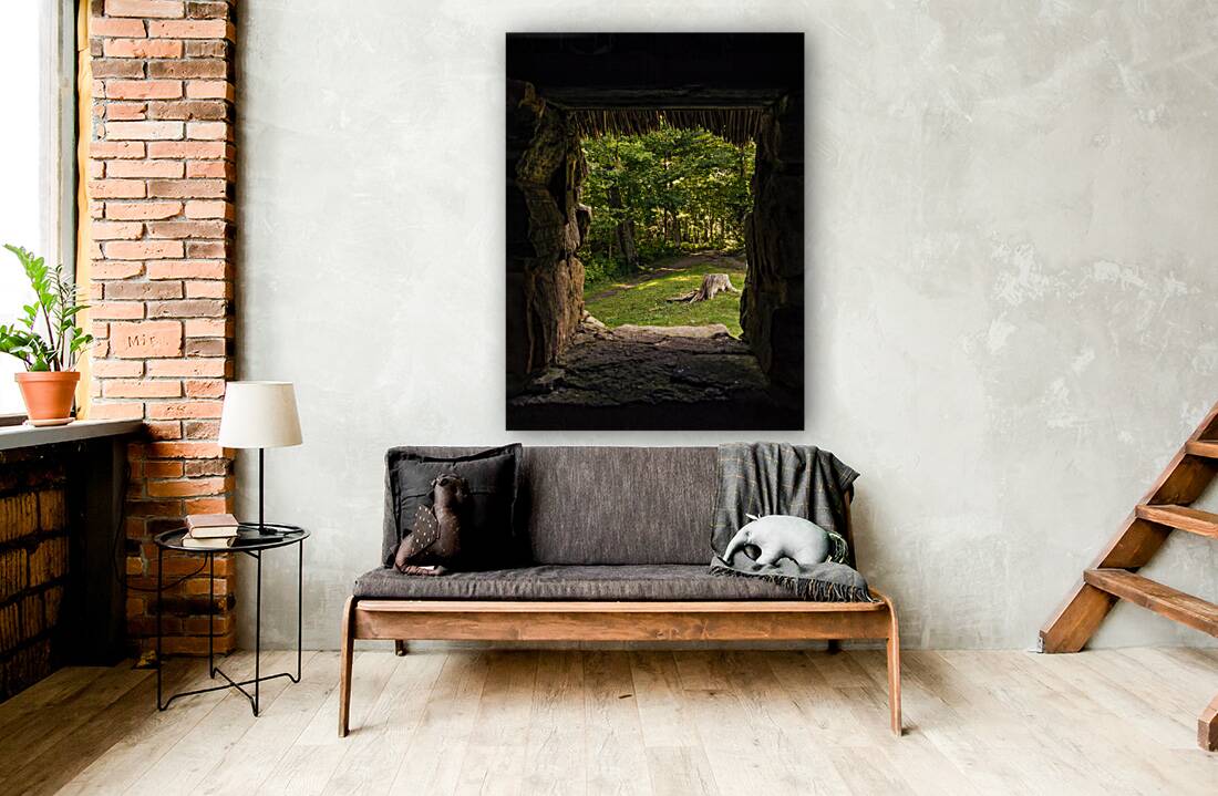 Cuban Pelican flying with blue sky Reproduction