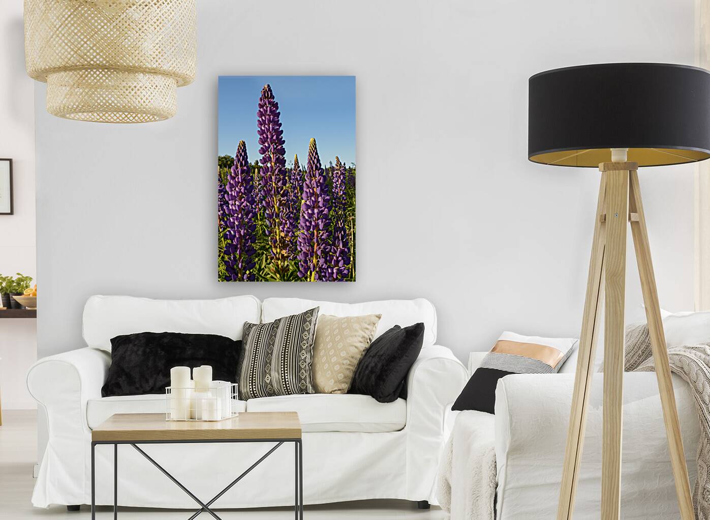 Colourful Lupins in Bloom 3 Reproduction