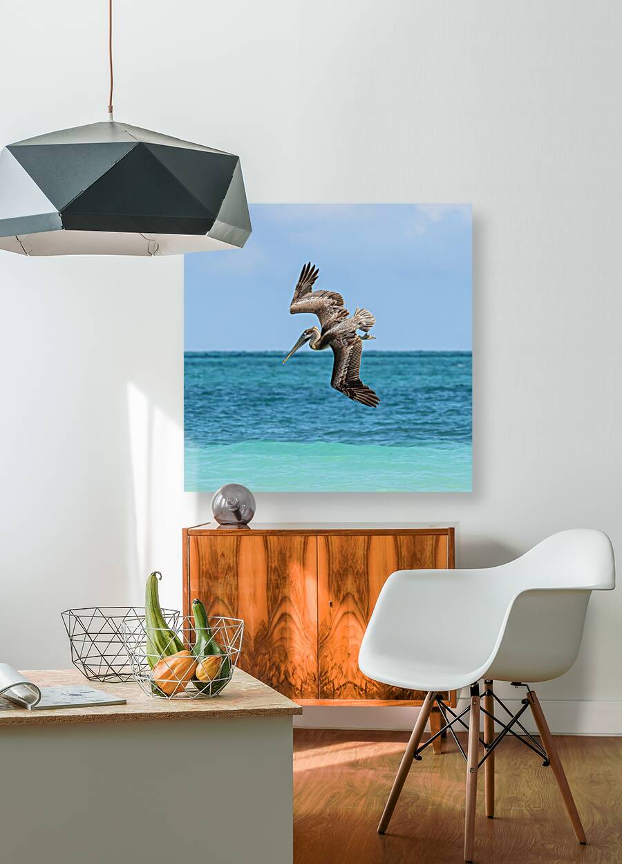 Pelican Cuban 6 Reproduction