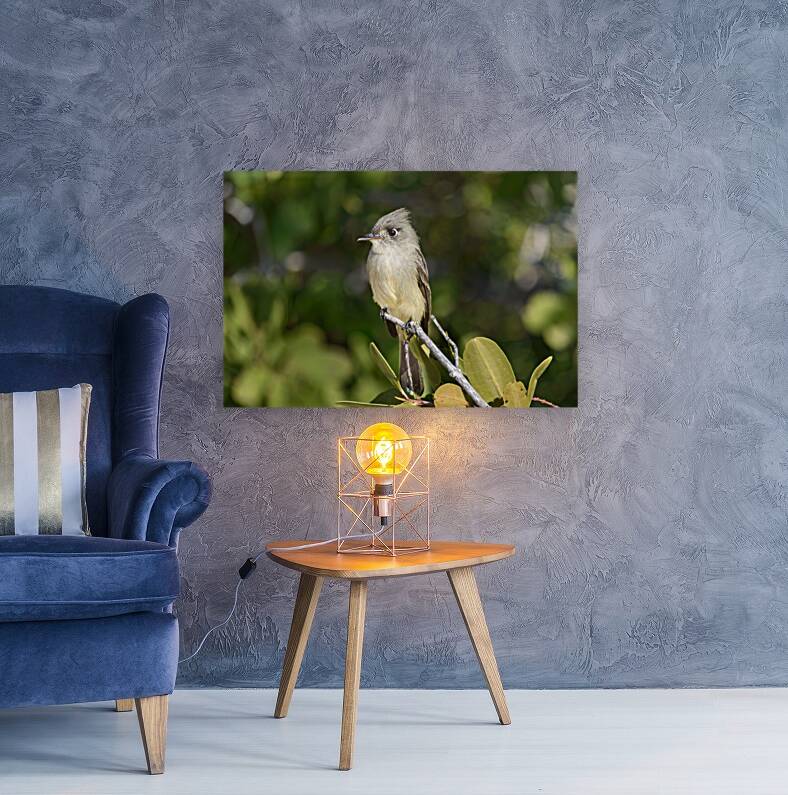 Small Cuban bird branch Reproduction