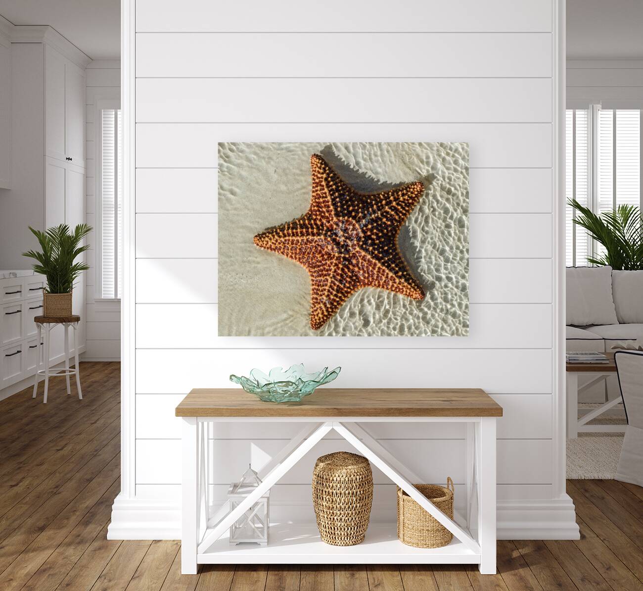 Giant Starfish on beach in ocean Reproduction