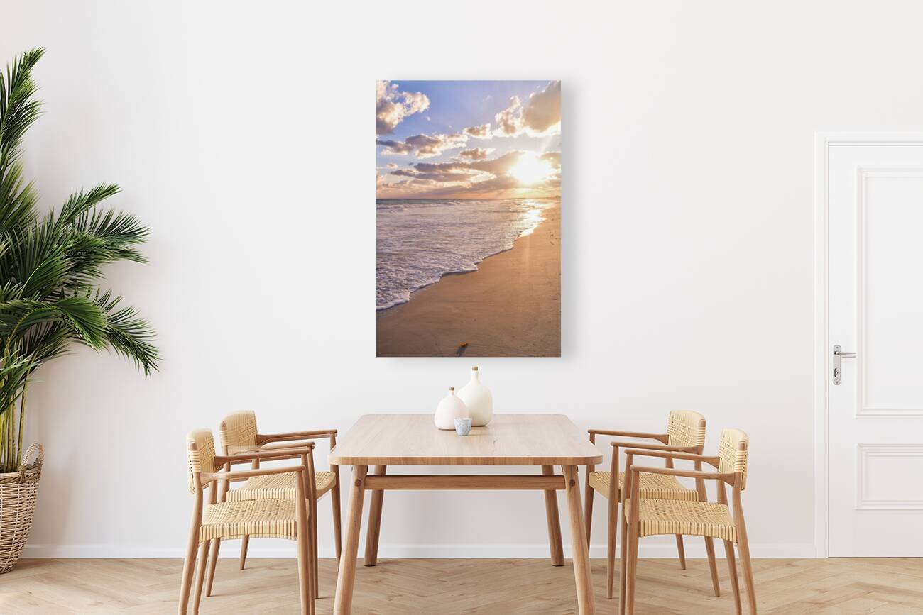 Cuban beach sunrise tiny seaweed Reproduction