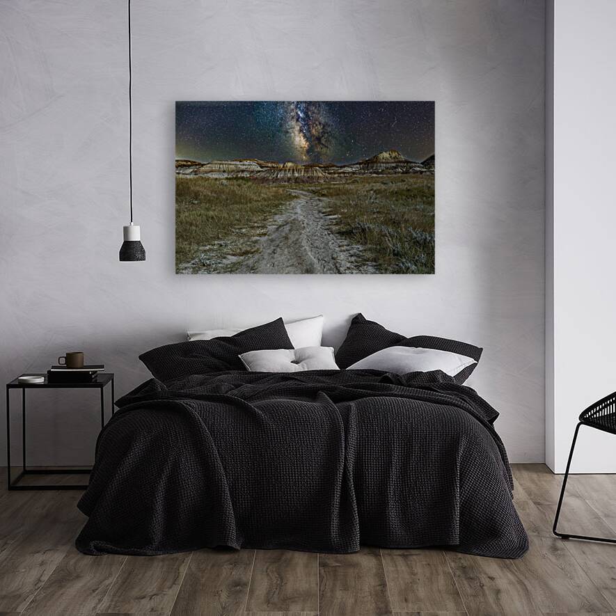 horseshoe canyon night milkyway Reproduction