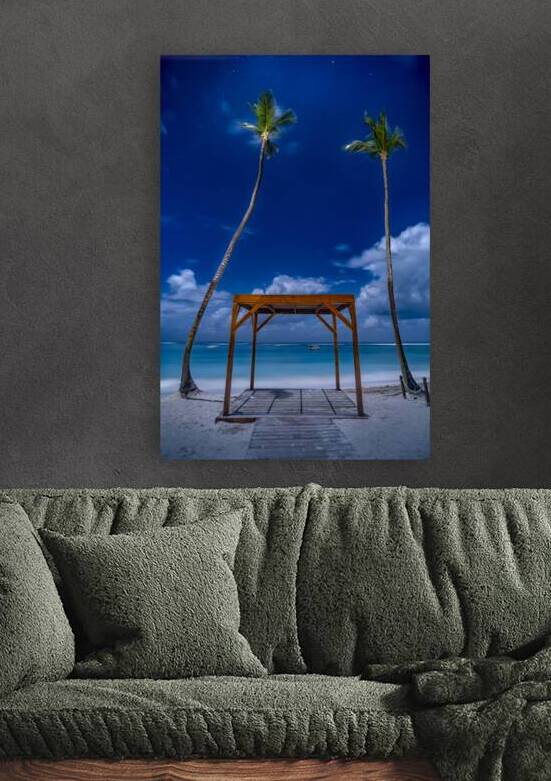 palmtrees beach night by Justin Richard Batten