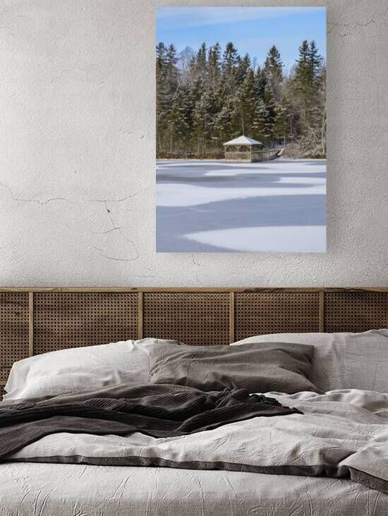 Bird sanctuary pond winter by Justin Richard Batten