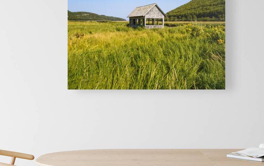 Cape Breton valley 2 by Justin Richard Batten