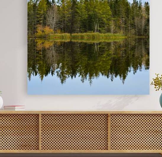 Bird sanctuary pond reflection by Justin Richard Batten