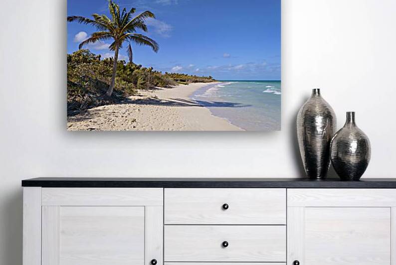 Cayo Coco Cuba beach by Justin Richard Batten