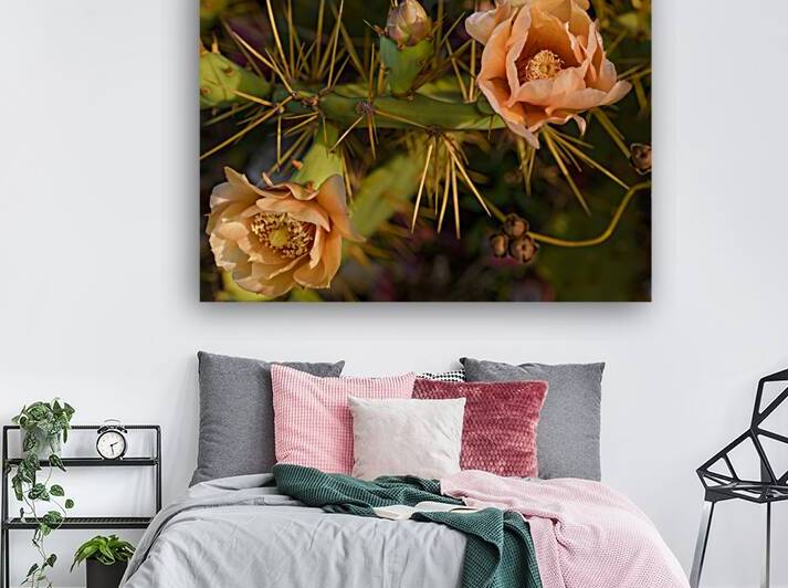 Cuban cactus flower bloom by Justin Richard Batten