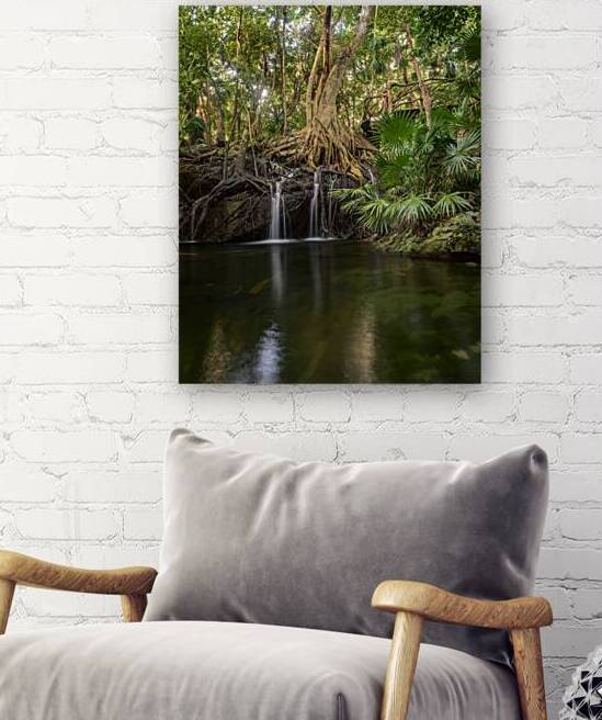 jungle tree waterfall by Justin Richard Batten