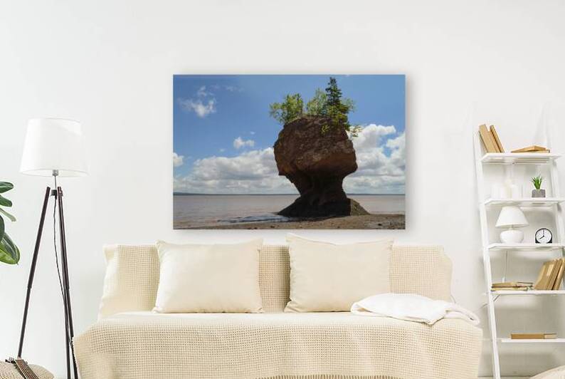 hopewell rock head silhouette-2 by Justin Richard Batten