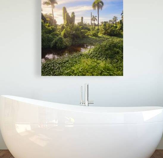 Jungle Garden Dominican by Justin Richard Batten