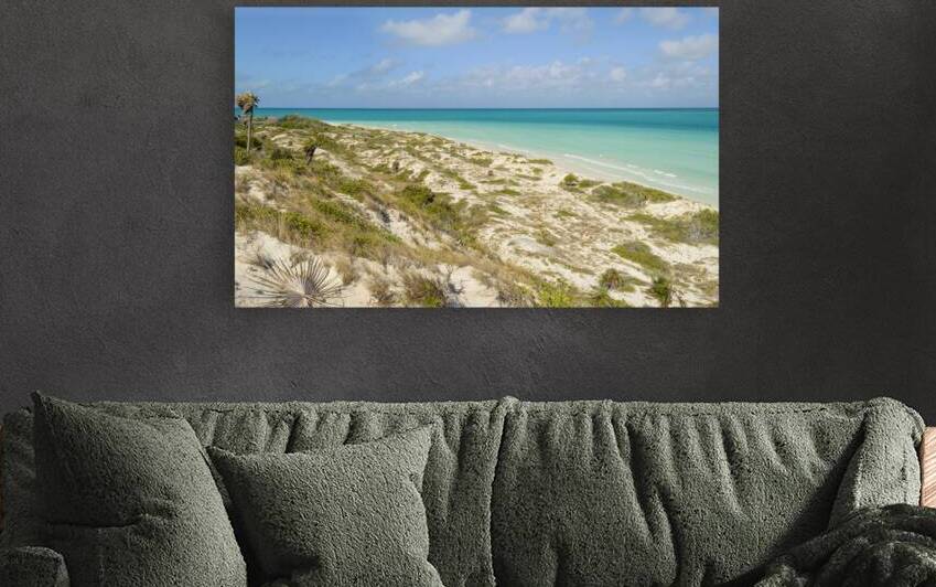 Cuban Dune View Ocean by Justin Richard Batten