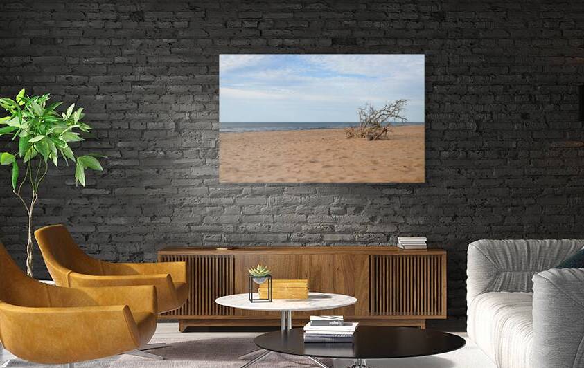 Greenwich beach driftwood art by Justin Richard Batten