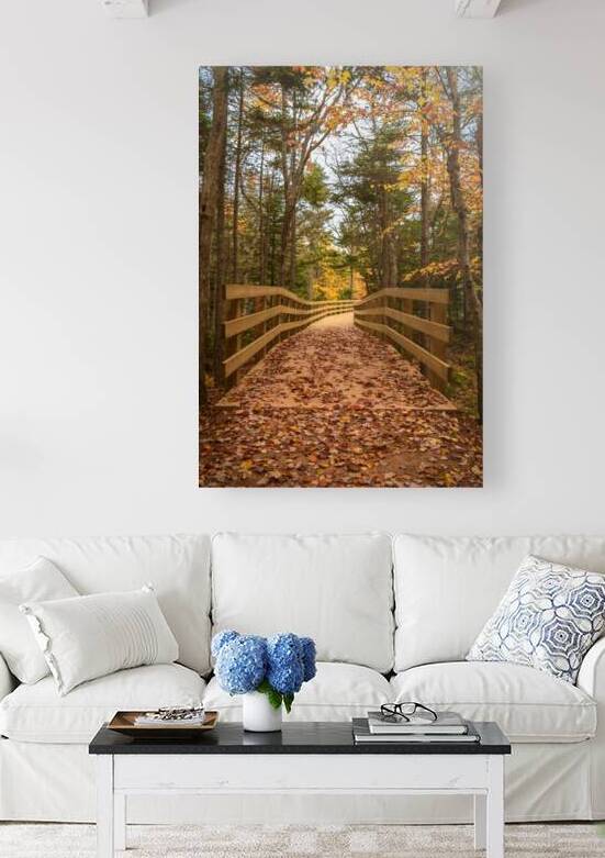 fall colours boardwalk trail by Justin Richard Batten
