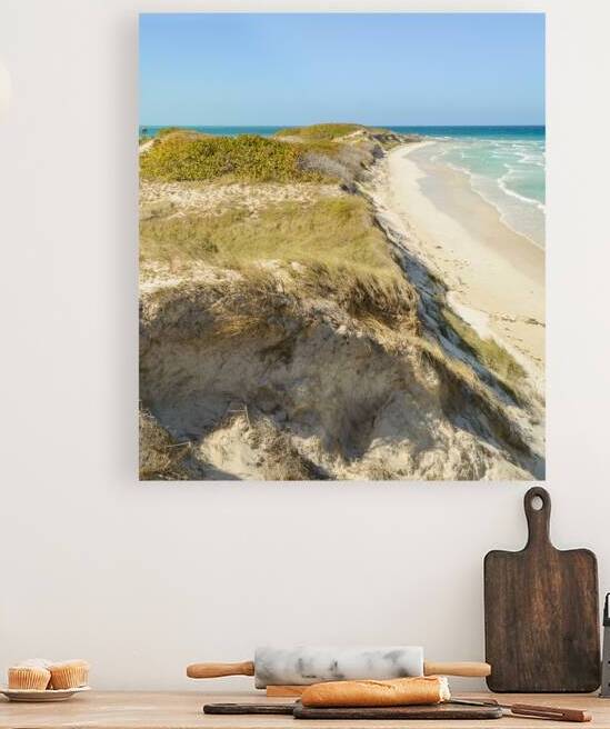 Cayo Coco Cuban Dune by Justin Richard Batten