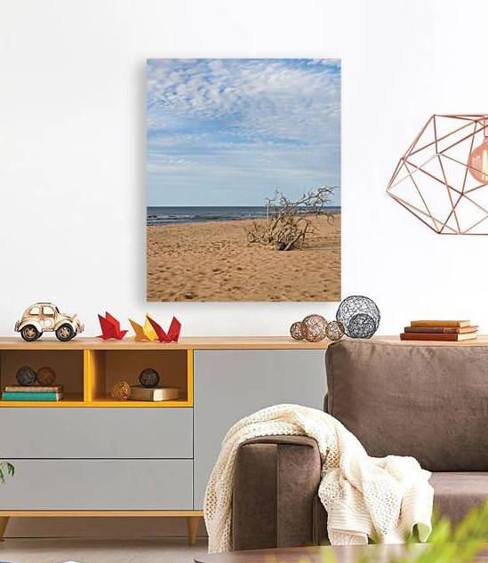 Greenwich beach driftwood art 4 by Justin Richard Batten