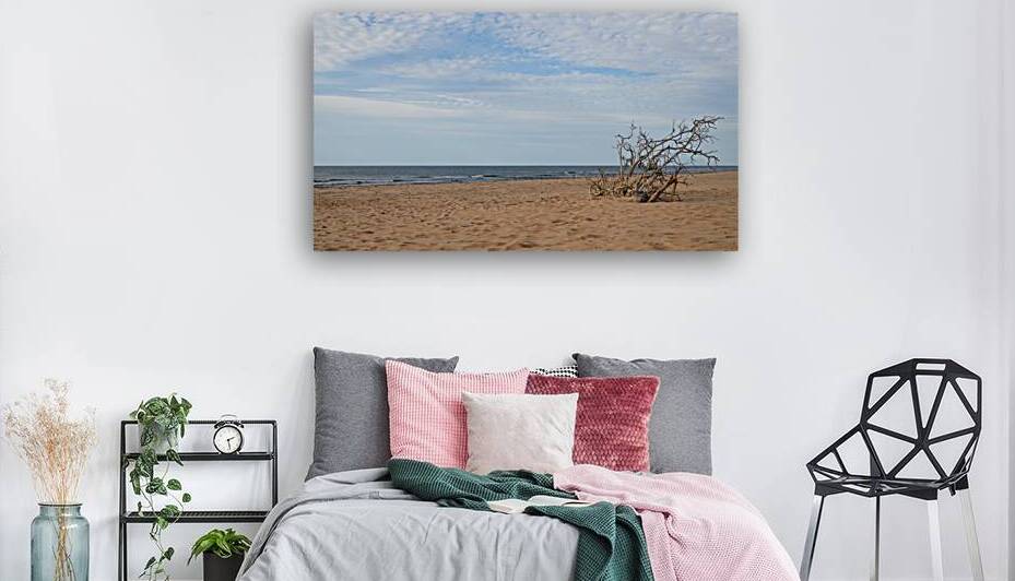 Greenwich Driftwood art 2 by Justin Richard Batten