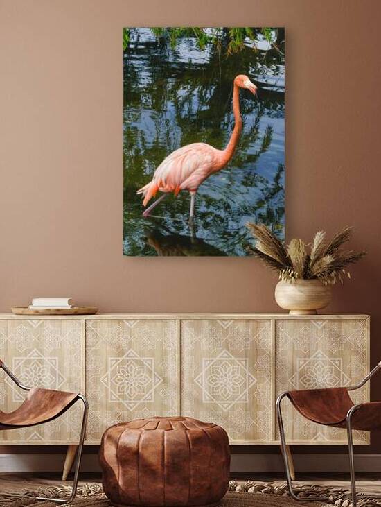 Pink flamingo in pond by Justin Richard Batten