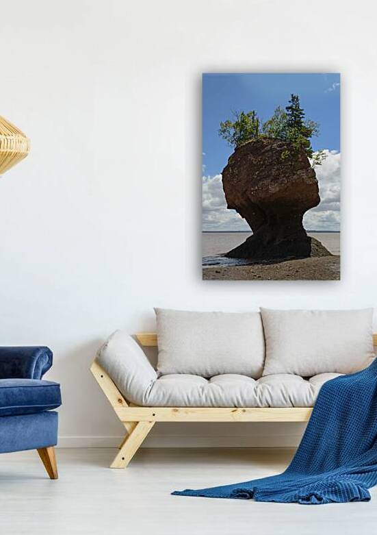 Hopewell Rock head silhouette by Justin Richard Batten