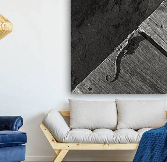 Gecko Anole on boardwalk in BW by Justin Richard Batten