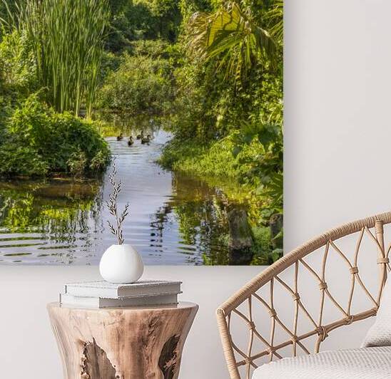 Ducks in a jungle pond by Justin Richard Batten