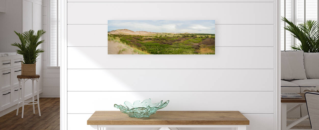 Greenwich dunes and wetlands by Justin Richard Batten