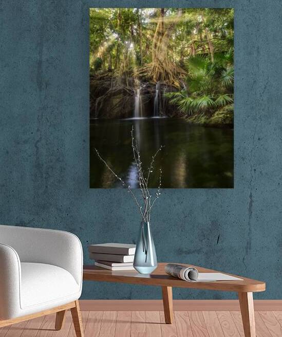 Jungle tree waterfall sunrays by Justin Richard Batten