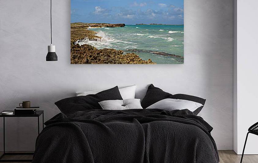 Cuban coral shore ocean view by Justin Richard Batten