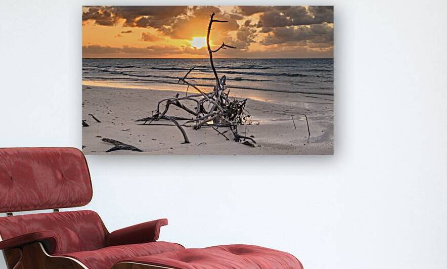 Caribbean driftwood sunset by Justin Richard Batten