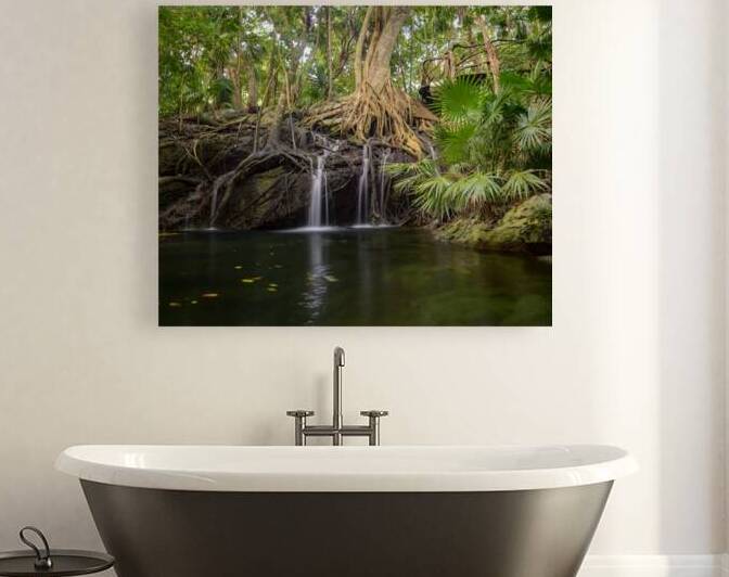 jungle tree waterfall 2 by Justin Richard Batten