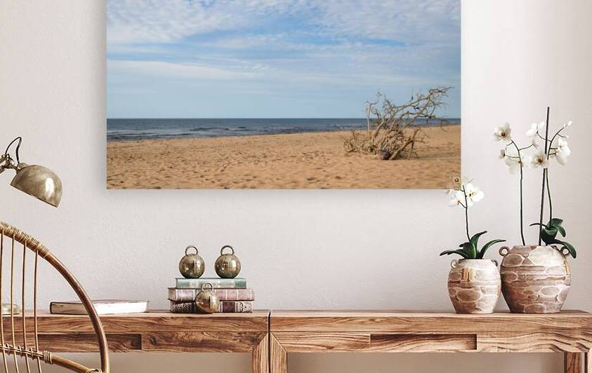 Greenwich driftwood art 3 by Justin Richard Batten