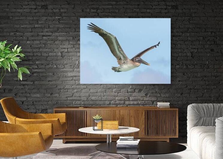 Pelican Cuban - 9 by Justin Richard Batten