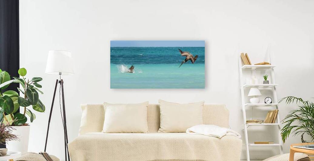 Cuban Pelican Dive 3 by Justin Richard Batten