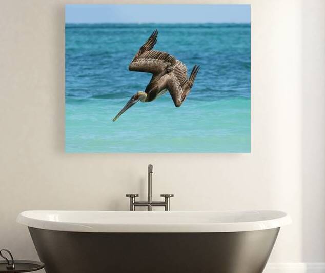 Pelican Cuban 14 by Justin Richard Batten