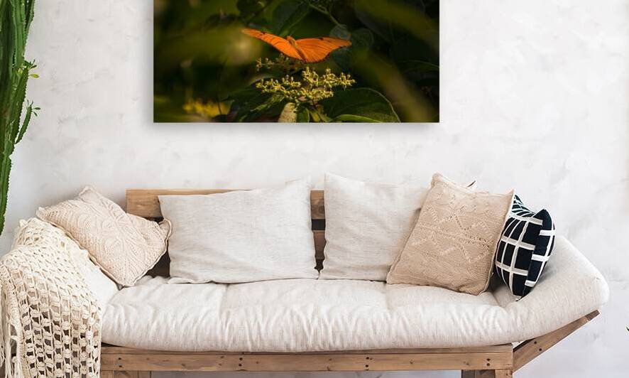 orange butterfly by Justin Richard Batten