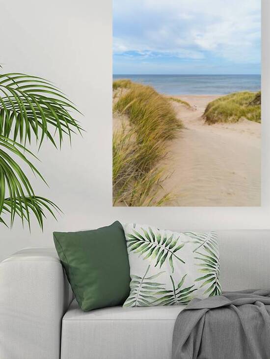 PEI sand dune beach view by Justin Richard Batten