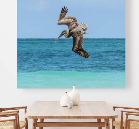 Pelican Cuban 6 by Justin Richard Batten