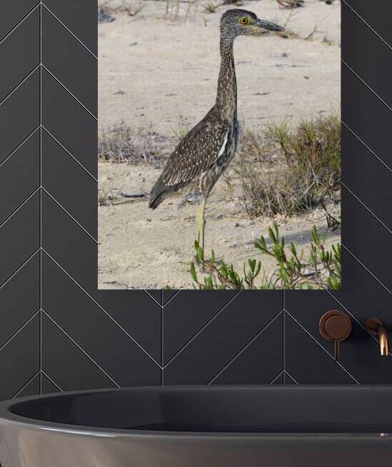 Small long leg cuban bird by Justin Richard Batten