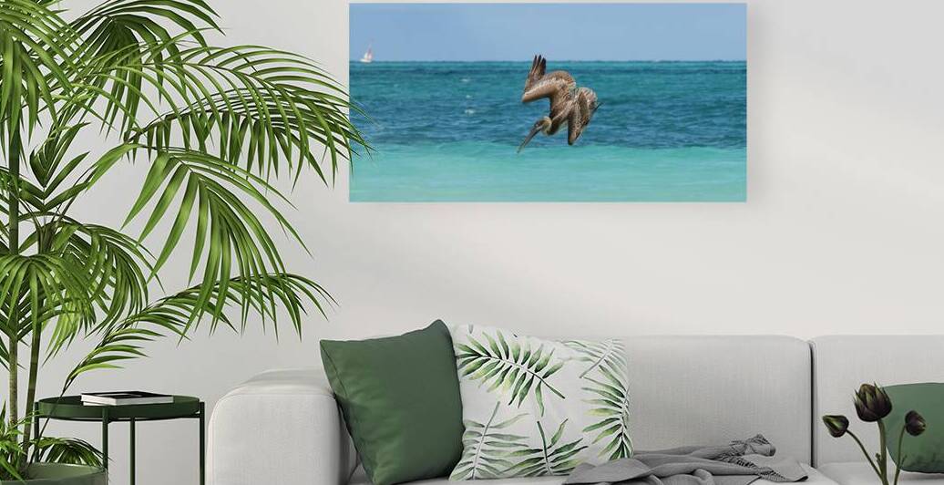 Pelican Cuban 5  Cuba by Justin Richard Batten