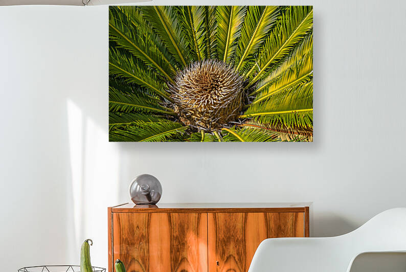 tropical plant center by Justin Richard Batten