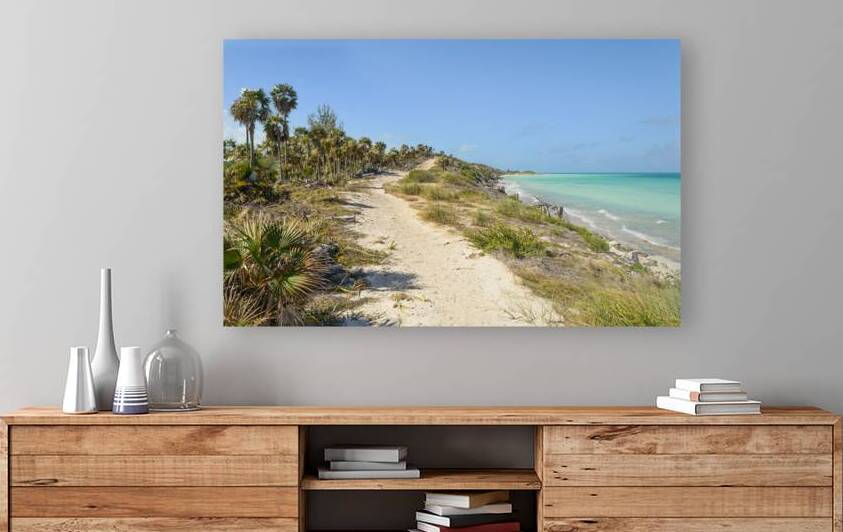 Walk on Cuban Dunes Ocean by Justin Richard Batten