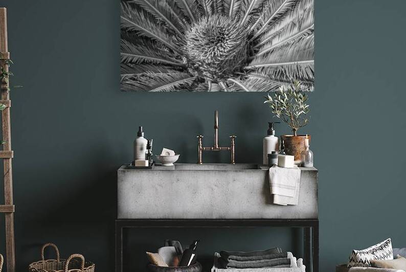 tropical plant centre-bw by Justin Richard Batten