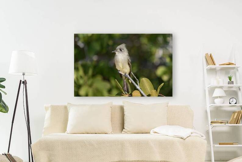 Small Cuban bird branch by Justin Richard Batten