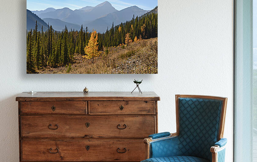 Bluerock Wildland golden tree by Justin Richard Batten