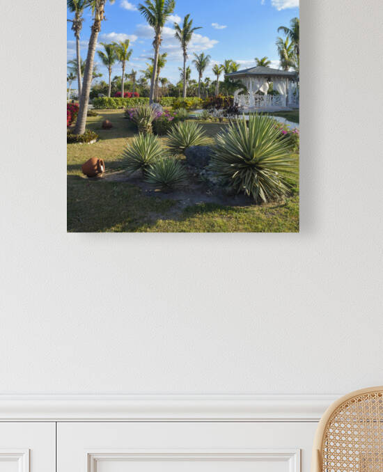 Cuban resort tropical garden by Justin Richard Batten