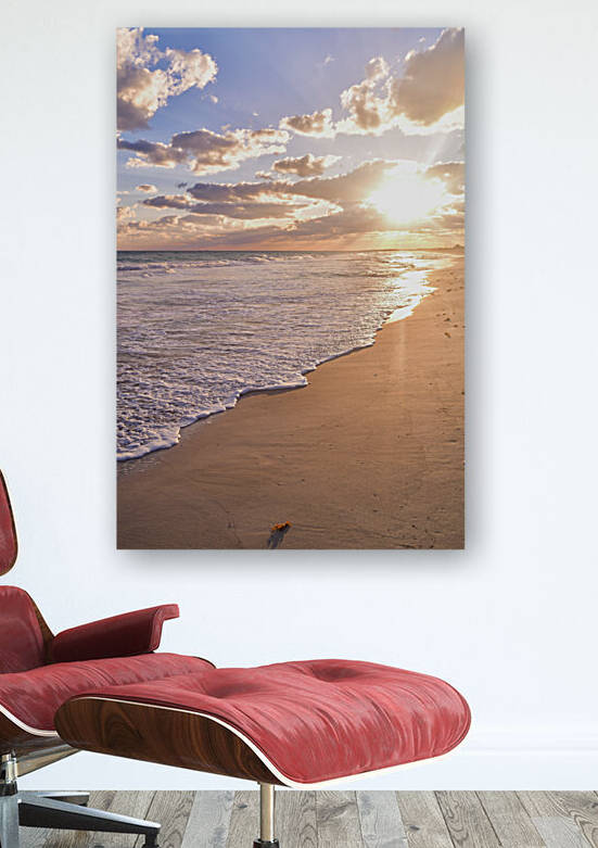 Cuban beach sunrise tiny seaweed by Justin Richard Batten